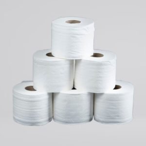 GP146 - 2 Ply Silky Thick Bthrm Tissue