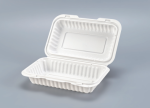 GP095 - 9x6x2.5" Hinged PP Container EP28