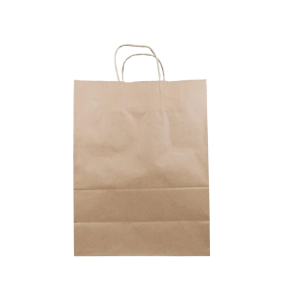 GP029 - Medium Kraft Bag 10"x6.5"x13" Handle