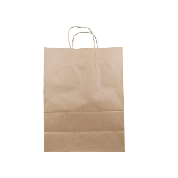 GP029 - Medium Kraft Bag 10"x6.5"x13" Handle
